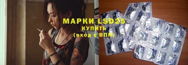 PSILOCYBIN Алексеевка