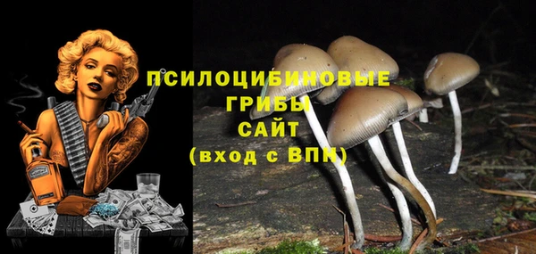 таблы Алзамай