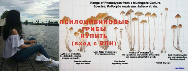 таблы Алзамай