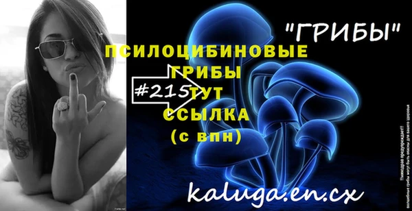 PSILOCYBIN Алексеевка