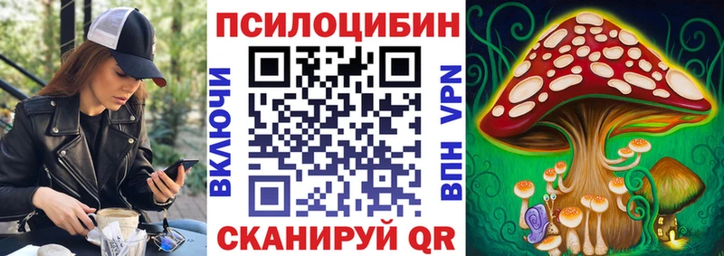 что такое   Борзя  Галлюциногенные грибы мицелий 